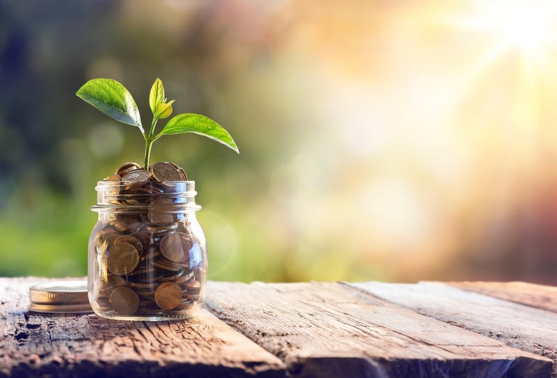 Long Term Financial Growth